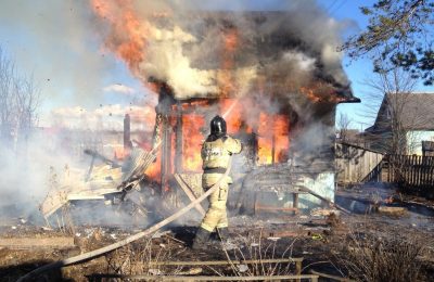 Венгеровский район охватило пламя лесных пожаров