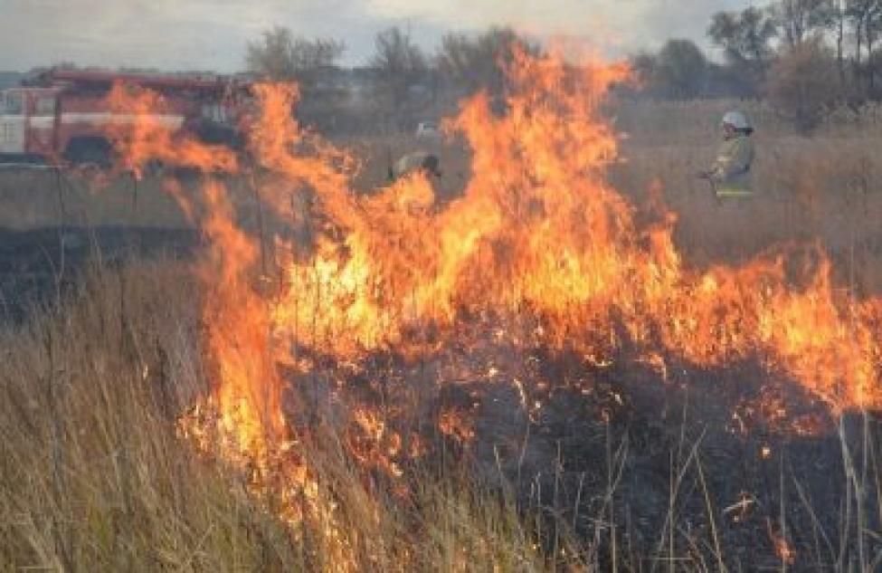 70 термоточек в сутки зарегистрировано в Венгеровском районе