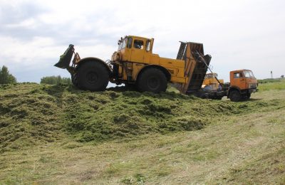 Аграрии Венгеровского района открыли кормозаготовительную кампанию