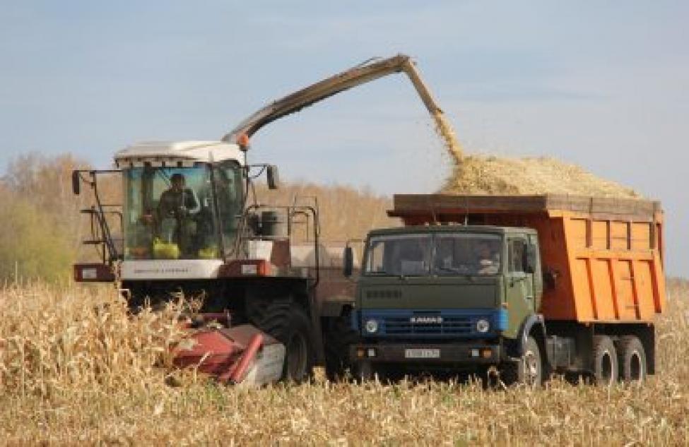 Рекордный урожай собрали венгеровские хлеборобы