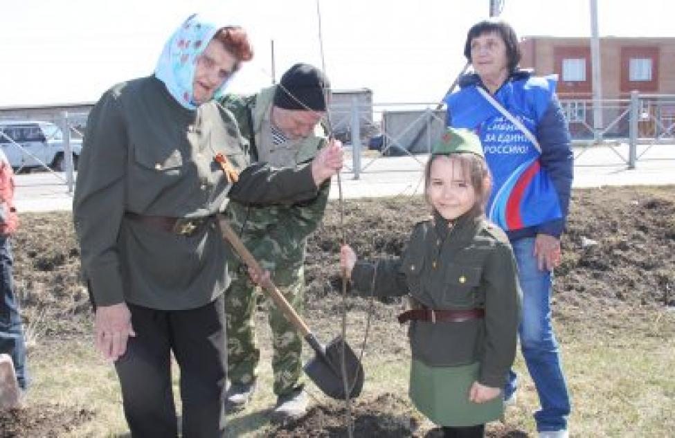 Более 110 тысяч молодых деревьев появится в регионе благодаря эколого-патриотической акции