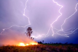 Молния стала причиной лесного пожара близ Павлово