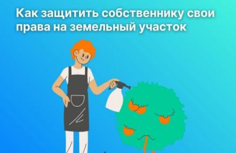 В новосибирском Росреестре рассказали как собственнику защитить свои права на земельный участок