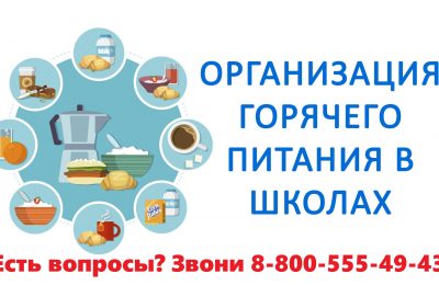 «Горячая линия» по вопросам организации питания в школах начала работать в Новосибирской области