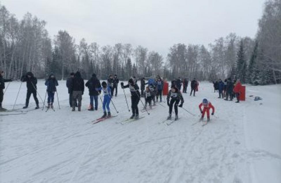 Одиннадцать лыжных команд открыли сезон