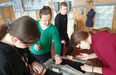 Школьники из 2-Сибирцевской школы готовятся к озеленению территории