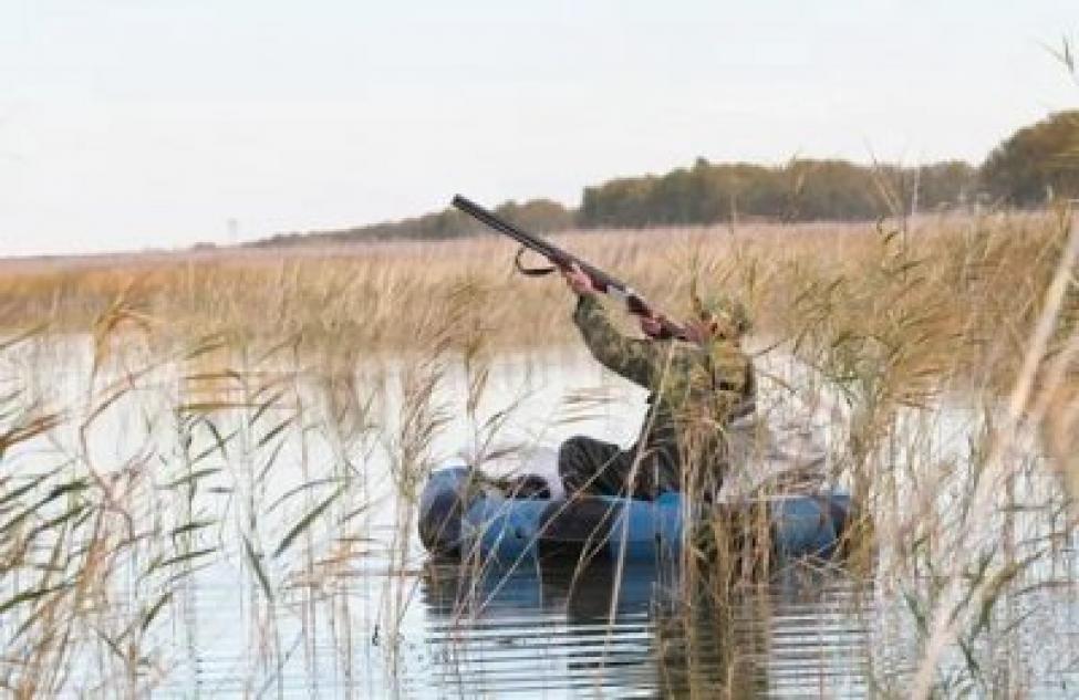 В Минприроды региона рассказали о сроках весенней охоты на водоплавающую дичь