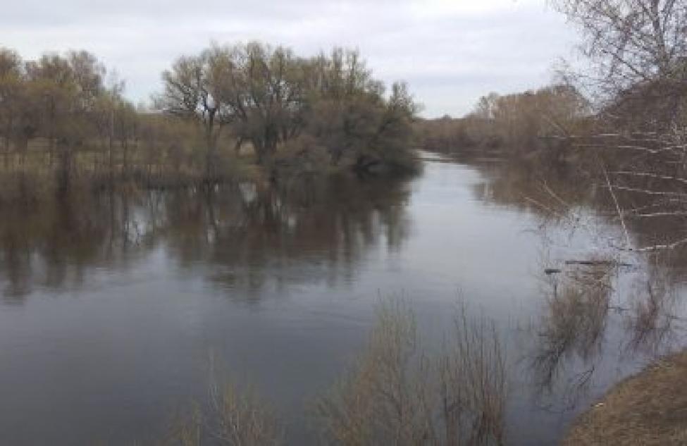 Вода поднимается в Венгерово, Куйбышеве и Новосибирске