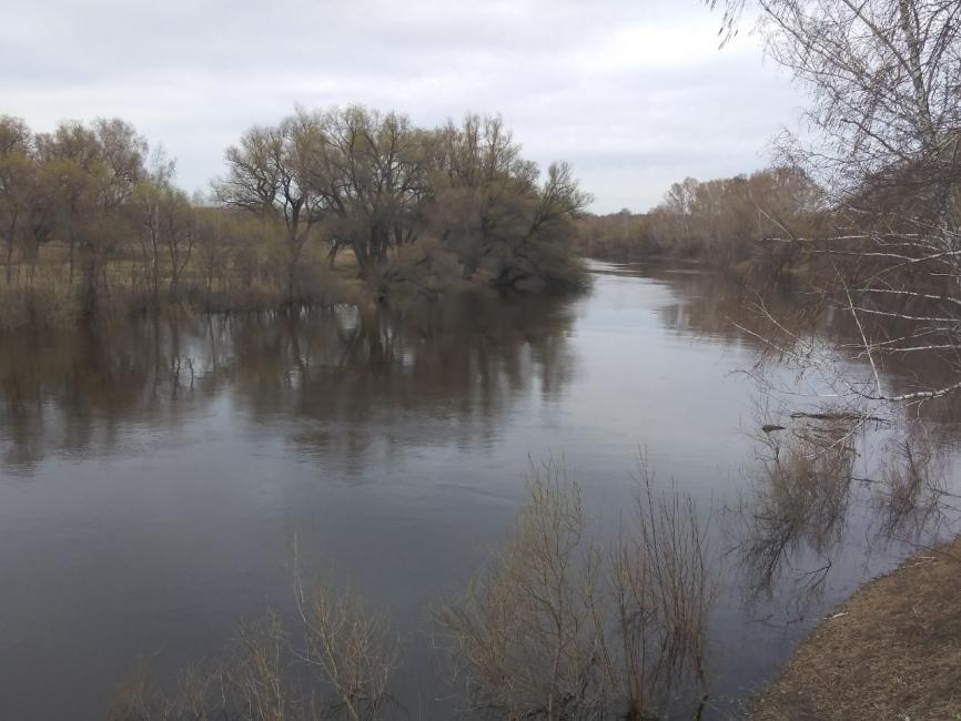 Вода поднимается в Венгерово, Куйбышеве и Новосибирске -