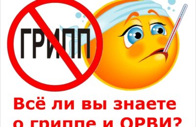 7 мифов о гриппе развеяли специалисты Роспотребназдора