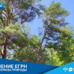 Региональный Роскадастр рассказал, как Единый государственный реестр недвижимости помогает в деле охраны природы