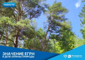 Региональный Роскадастр рассказал, как Единый государственный реестр недвижимости помогает в деле охраны природы