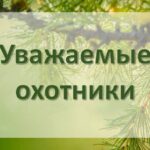 Охотники смогут получить разрешение на охоту уже в августе