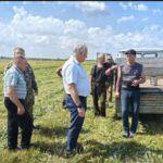Депутат Госдумы побывал меньшиковских полях