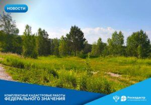 В более чем 50 населенных пунктах Новосибирской области проходят комплексные кадастровые работы федерального значения