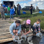 Рост численности рыбы и биологическое разнообразие: в Новосибирское водохранилище выпустили сазана