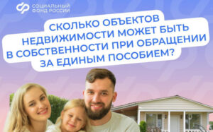 Отделение СФР по Новосибирской области дает ответы на актуальные вопросы