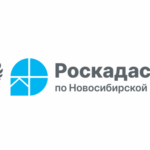 С начала года более 52 тысяч документов поступило из МФЦ в архив новосибирского Роскадастра .