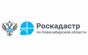 С начала года более 52 тысяч документов поступило из МФЦ в архив новосибирского Роскадастра .