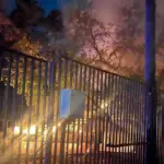 Пять животных погибли в результате пожара в Новосибирском зоопарке