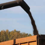 Новосибирская область продолжает наращивать объёмы экспорта сельхозпродукции и перевозки зерна в контейнерах