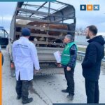 Стационарные посты ветеринарного досмотра могут установить на дорогах в РФ