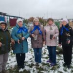 Свыше 800 тысяч хвойных деревьев высадили в регионе за семь лет в рамках акции «Сохраним лес»