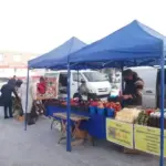 Ярмарка в Венгерово наторговала на три миллиона рублей