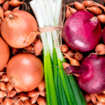 Домашний огород: выращиваем ароматную зелень к Новому году