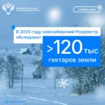 В 2025 году новосибирский Росреестр обследовал более 120 тысяч гектаров земли