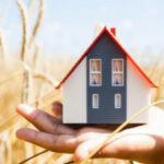 Подведены итоги исполнения госпрограммы Новосибирской области «Комплексное развитие сельских территорий»