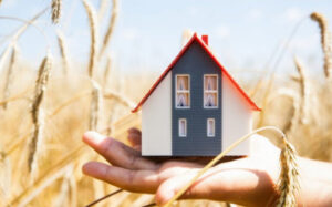 Подведены итоги исполнения госпрограммы Новосибирской области «Комплексное развитие сельских территорий»