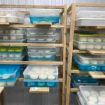 В Новосибирской области выросло производство молока и молочных продуктов