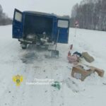 А деньги спрятала в горшке с цветком…