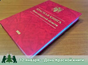 Сегодня – День Красной книги