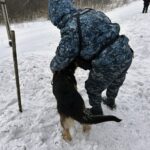 Трёх подростков, пытавшихся заработать на поджоге железнодорожного релейного шкафа, задержали сотрудники ФСБ