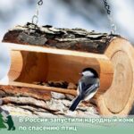 Хотите поучаствовать в народном конкурсе по спасению птиц?