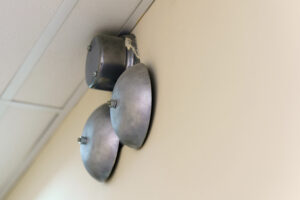 На переменах в школах Новосибирской области будут звучать патриотические песни и мелодии