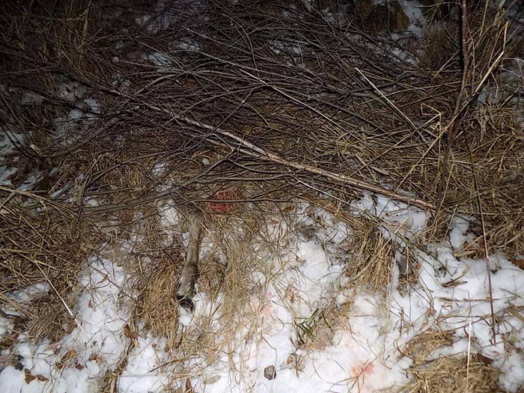 Фото, сделанное на месте преступления. Фото: t.me/prokuratura_nso