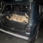 Три года условно за убийство двух косуль в заказнике