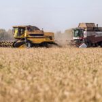 Новосибирская область расширит площадь земель сельхозназначения