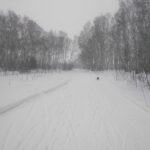 Подготовка трасс «Лыжни России» в Новосибирской области вышла на финишную прямую