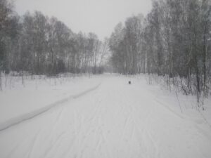 Подготовка трасс «Лыжни России» в Новосибирской области вышла на финишную прямую