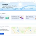 Главные цифровые сервисы Новосибирской области теперь доступны в одном месте на Госуслугах