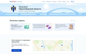 Главные цифровые сервисы Новосибирской области теперь доступны в одном месте на Госуслугах