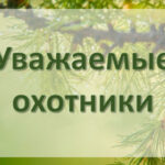 Охотники Новосибирской области смогут оформить электронные разрешения на все виды птиц и пушных животных