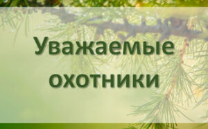Охотники Новосибирской области смогут оформить электронные разрешения на все виды птиц и пушных животных