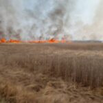 Пожароопасный сезон в Венгеровском округе введен с 20 апреля