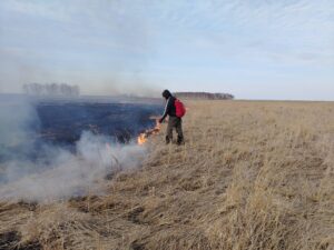 в Венгеровском округе Новосибирской области введен особый режим