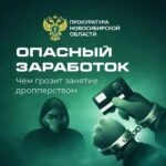 Легкий заработок привел на скамью подсудимых жительницу Новосибирской области